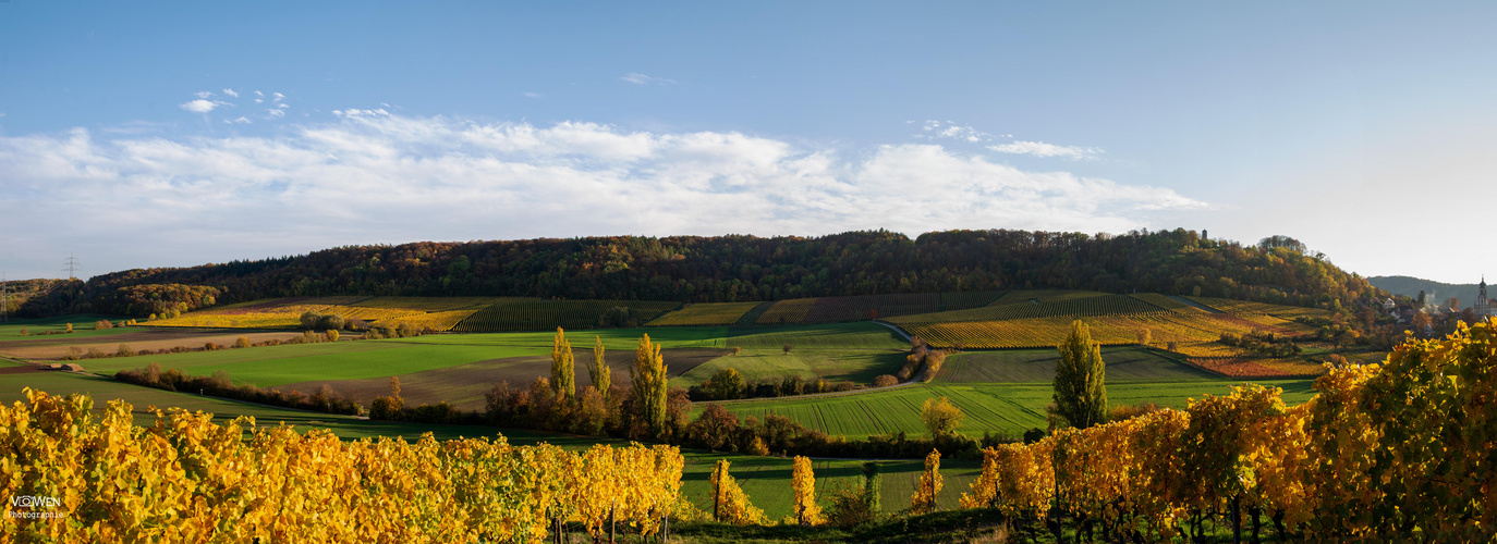 Wein Franken im Herbst