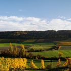 Wein Franken im Herbst