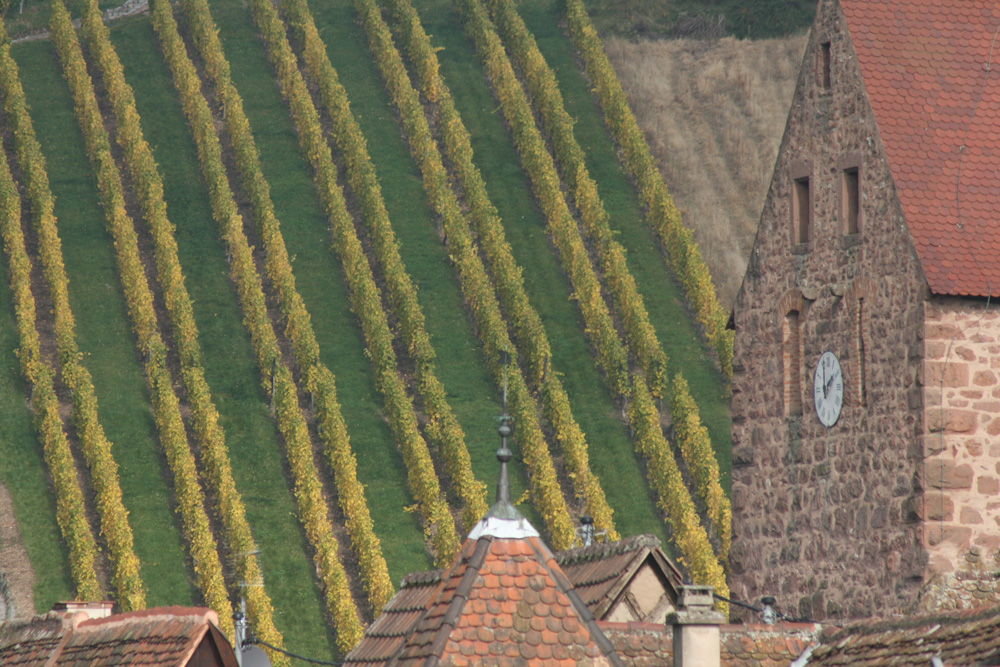 Wein im Elsass