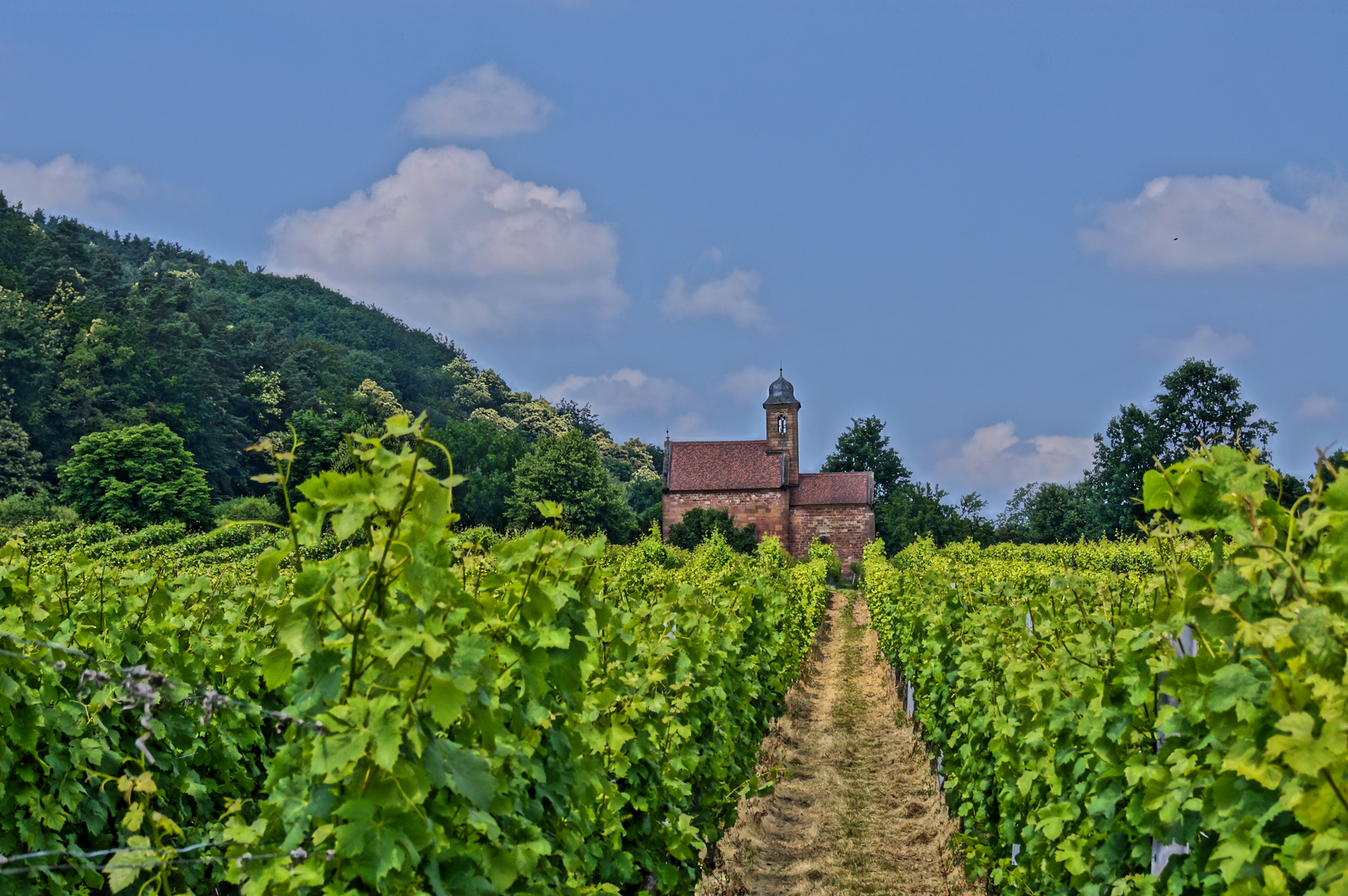 Wein in seiner Ursprungsform