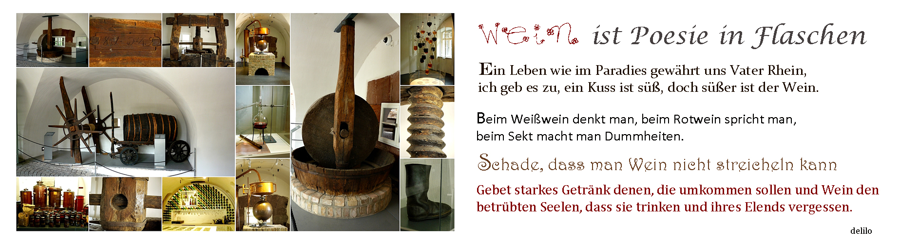 Wein ist ......