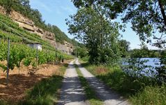 Wein - Land - Fluss - Heimat