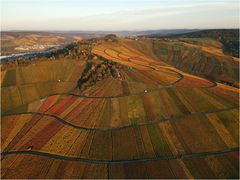 Wein-Landschaft-Remstal im Herbst