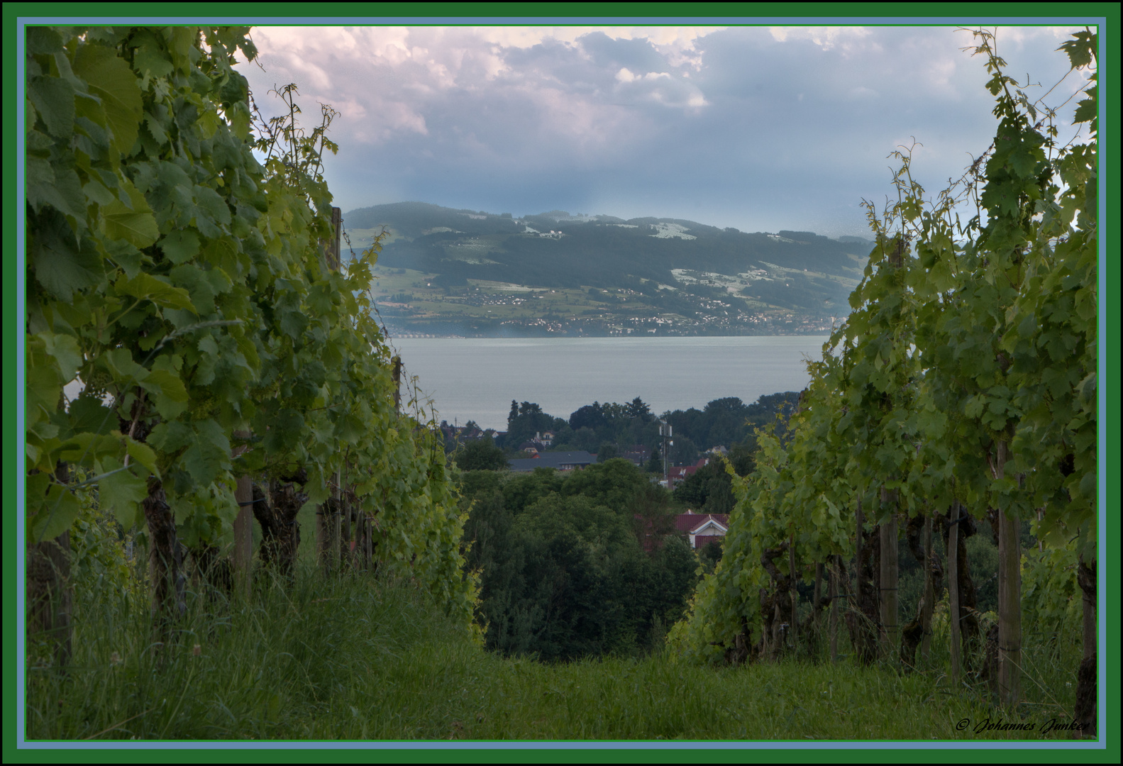 Wein mit Ausblick