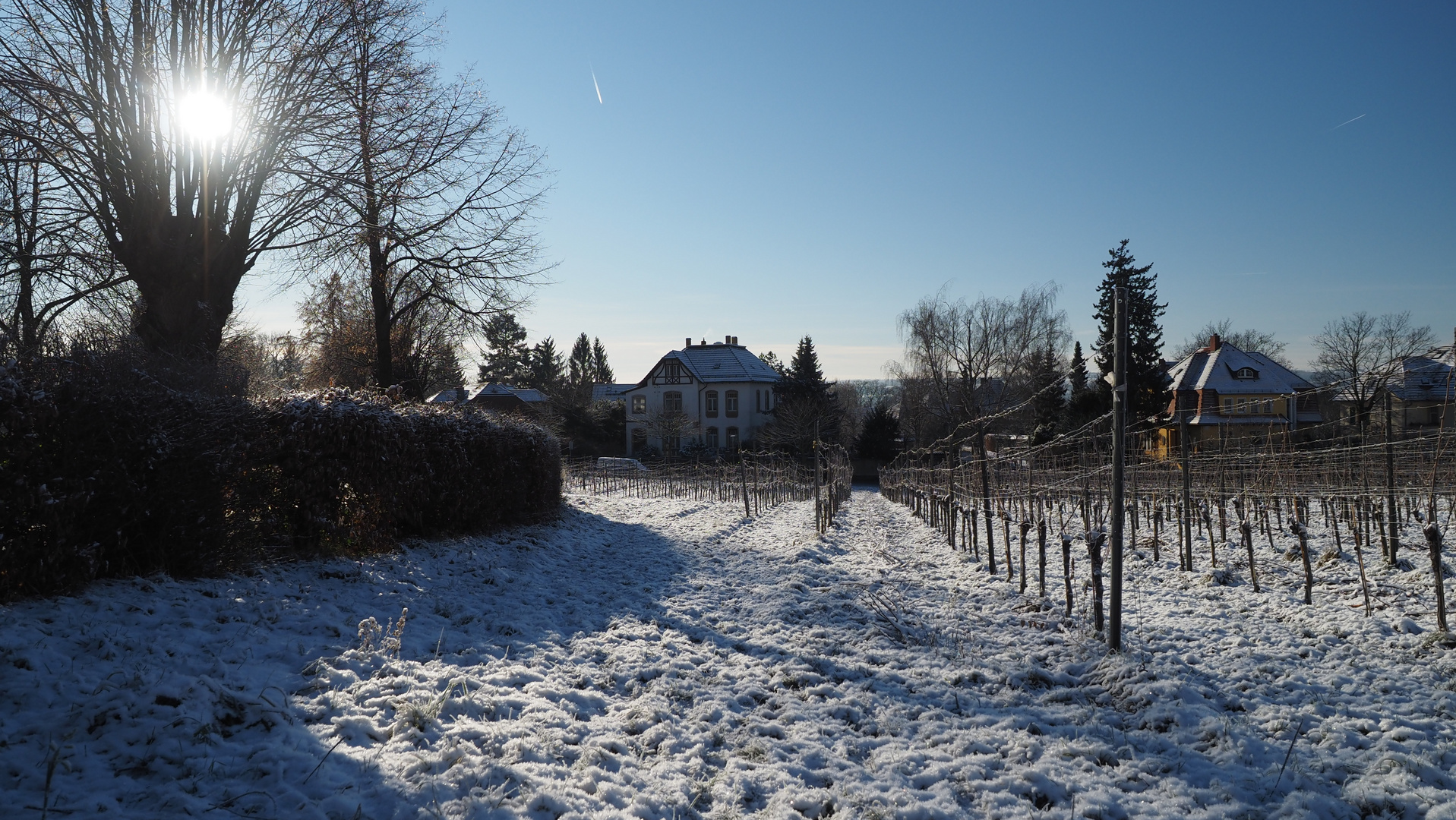 Wein ohne Berge Kondenzstreifen