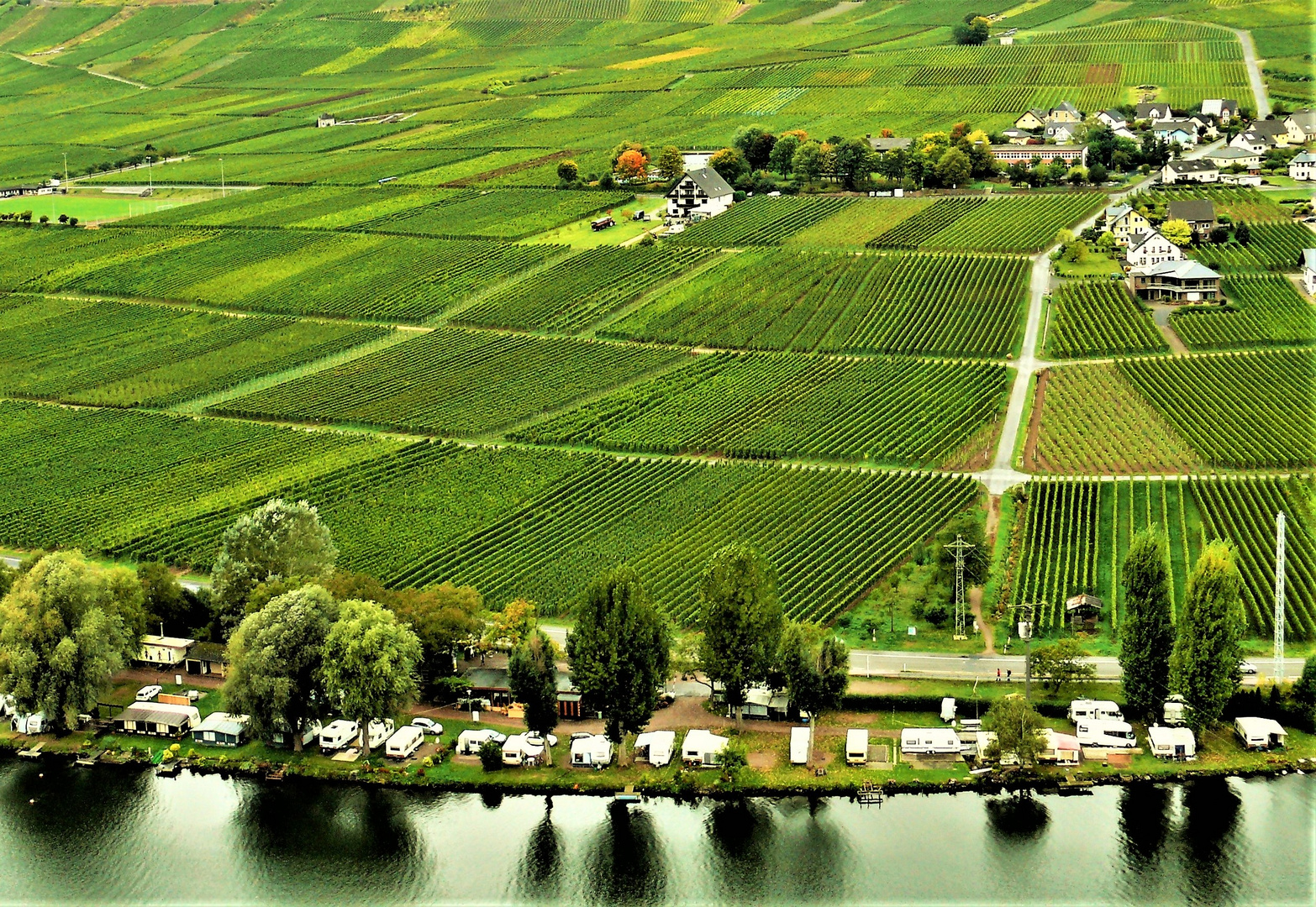 Wein, so weit das Auge reicht