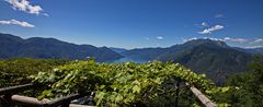 Wein und Berge am Lago Maggiore