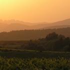 Wein und Berge - Dentelles de Montmirailles