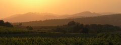 Wein und Berge - Dentelles de Montmirailles