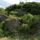 Wein und Gestein