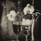 Wein und Orchidee sw