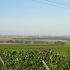 Wein und Wind in Rheinhessen