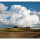 Wein und Wolken