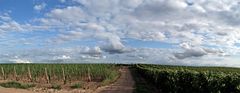 Wein und Wolken