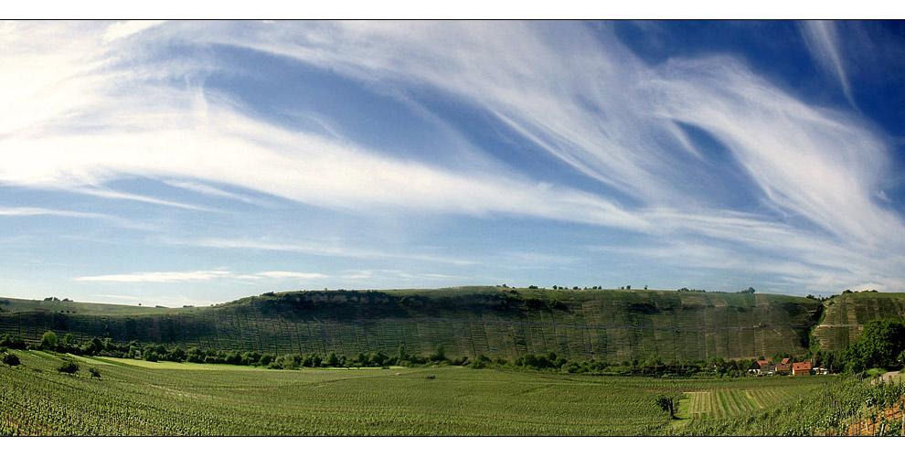 Wein-und-Wolken-Pano