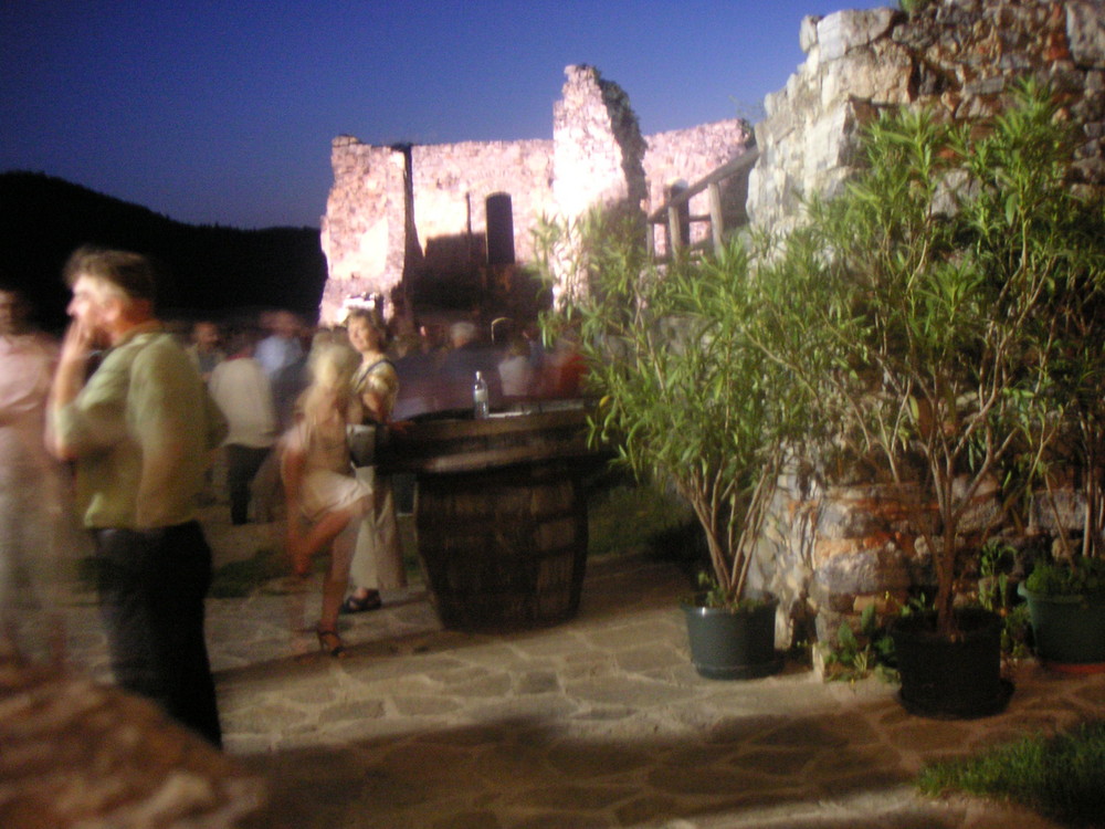 Wein Verkostung auf der Ruine Senftenberg (22 Uhr)