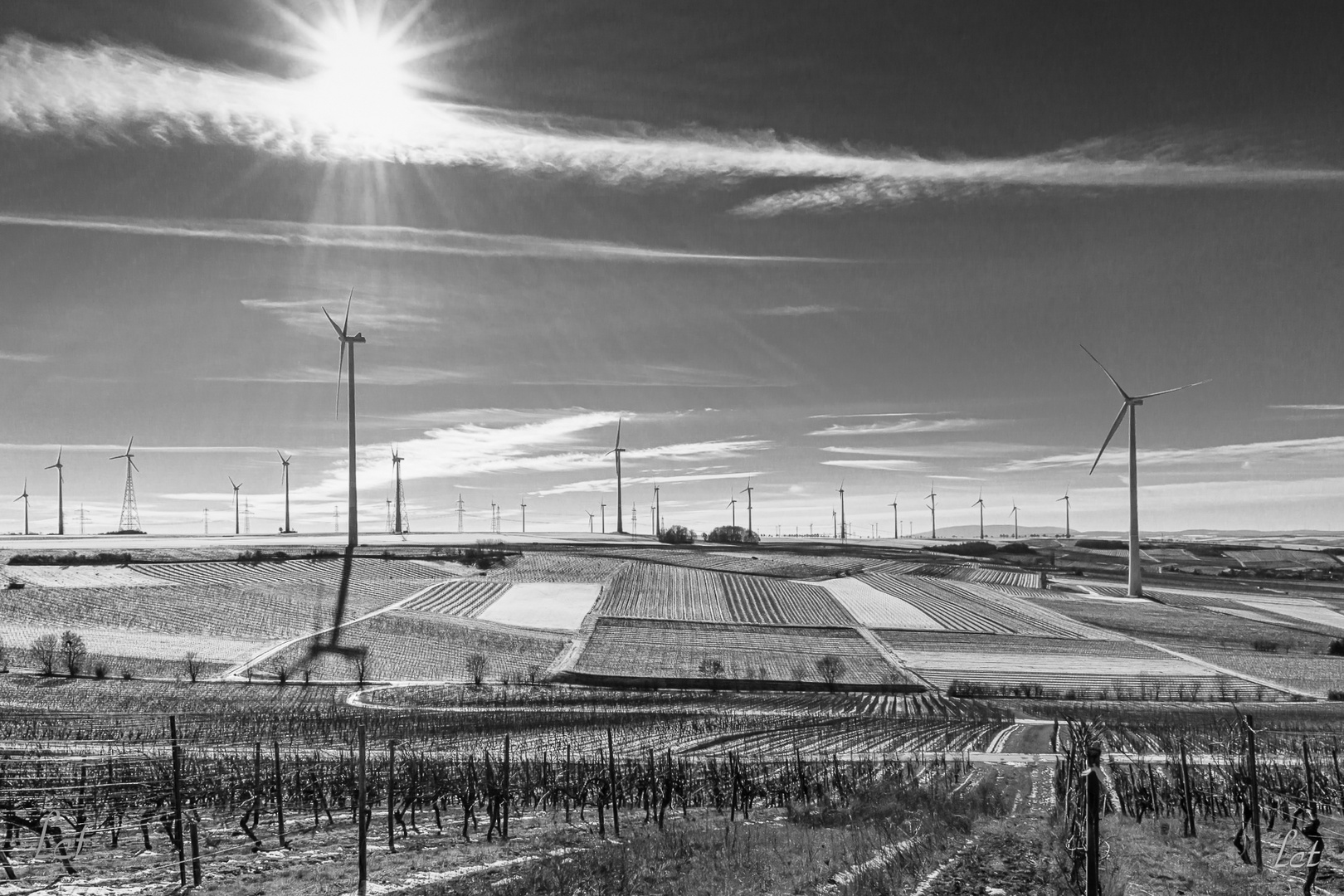 Wein- & Windland im Winter (1)