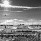 Wein- & Windland im Winter (1)