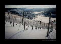 Wein Winter Ruhe