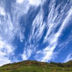 Wein & Wolken