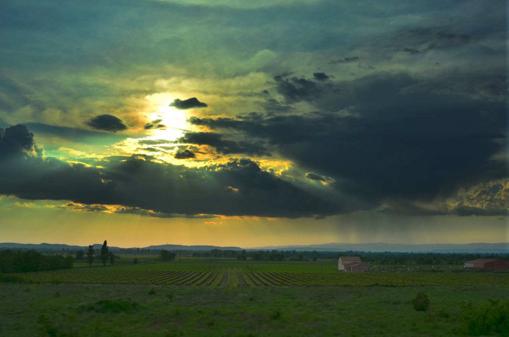 Weinabend im Languedoc