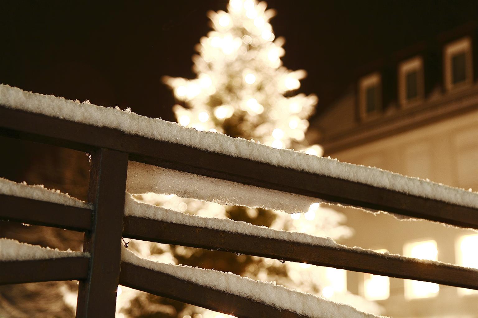 Weinachtsbaum hinter dem ersten Schnee