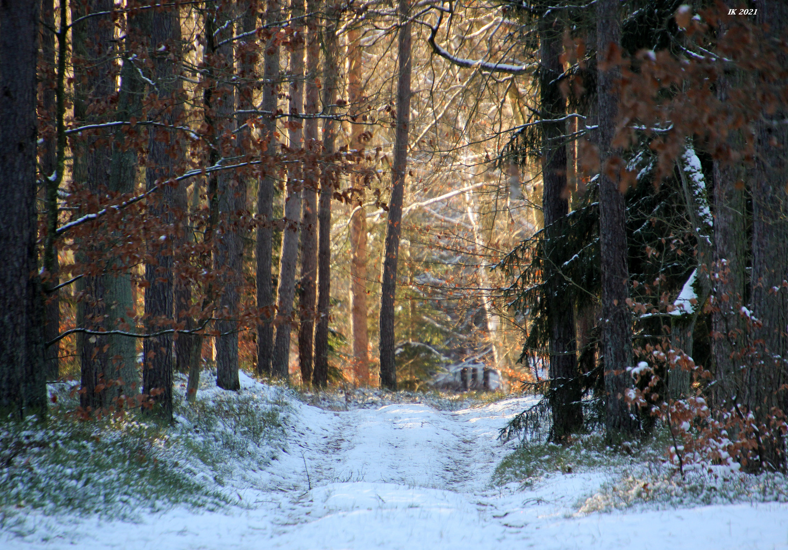 Weinachtswinterwald