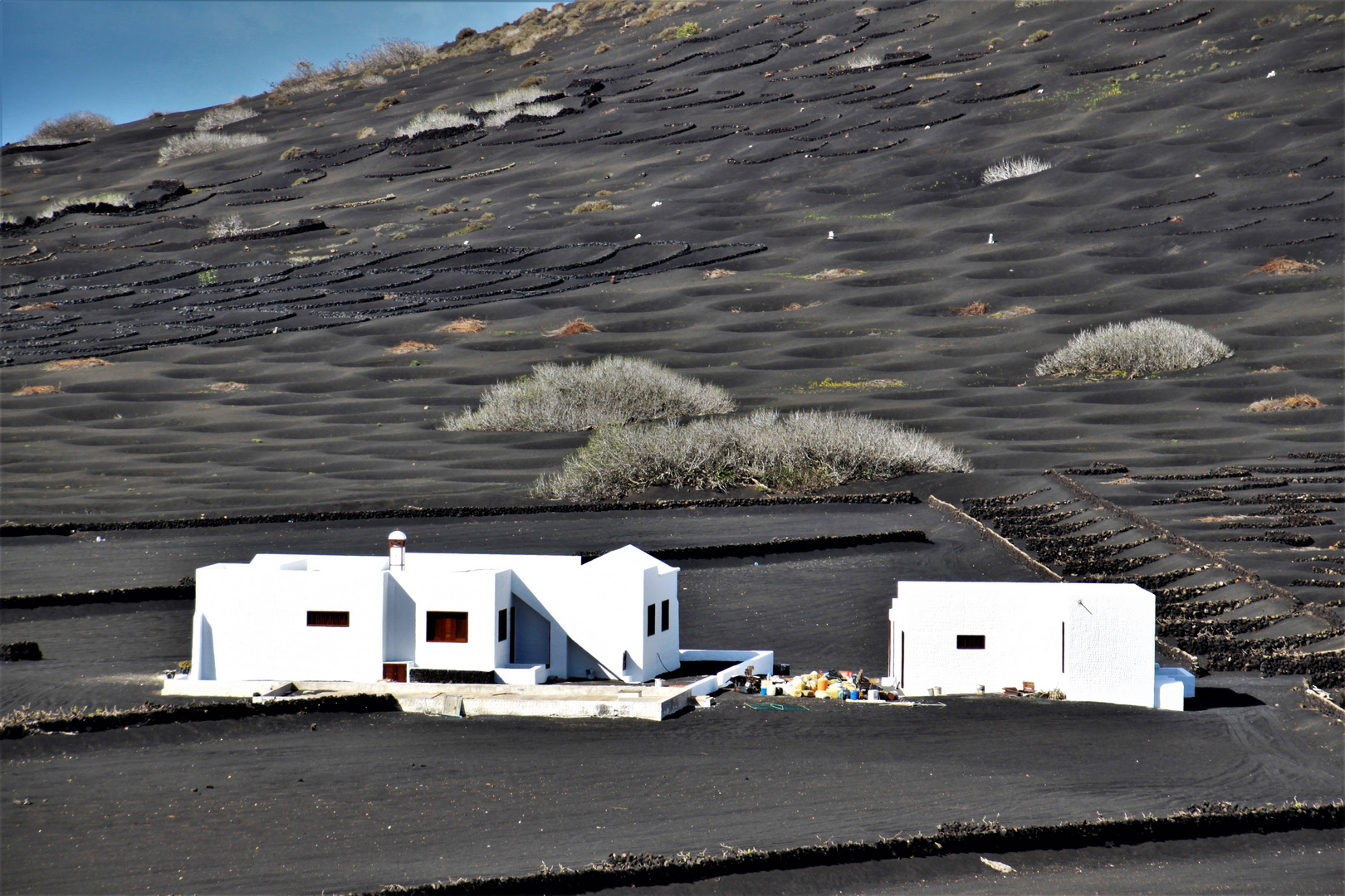 Weinanbau auf Lanzarote