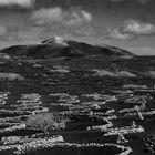 Weinanbau auf Lanzarote 