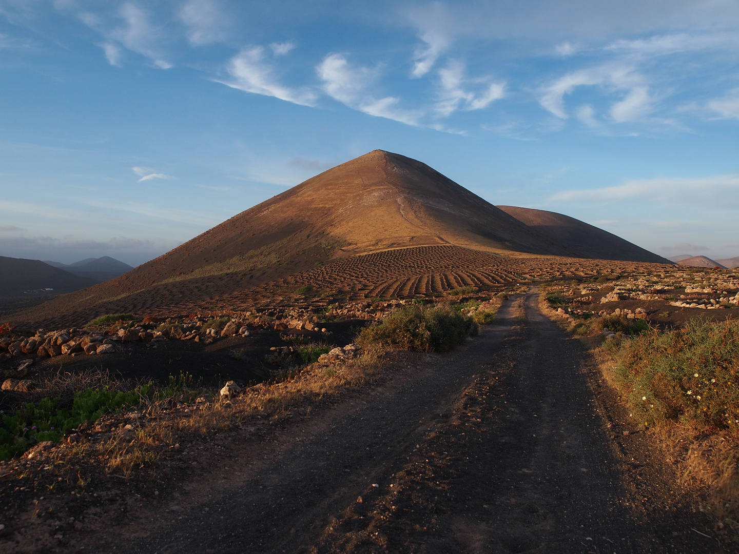 Weinanbau auf Lanzarote