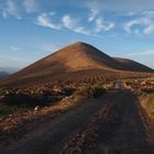 Weinanbau auf Lanzarote