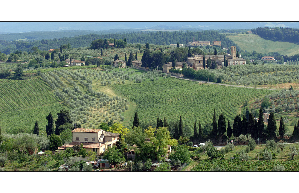 Weinanbau bei San Gimignano