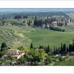 Weinanbau bei San Gimignano