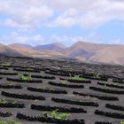 Weinanbau im Nationalpark Timanfaya - Lanzarote