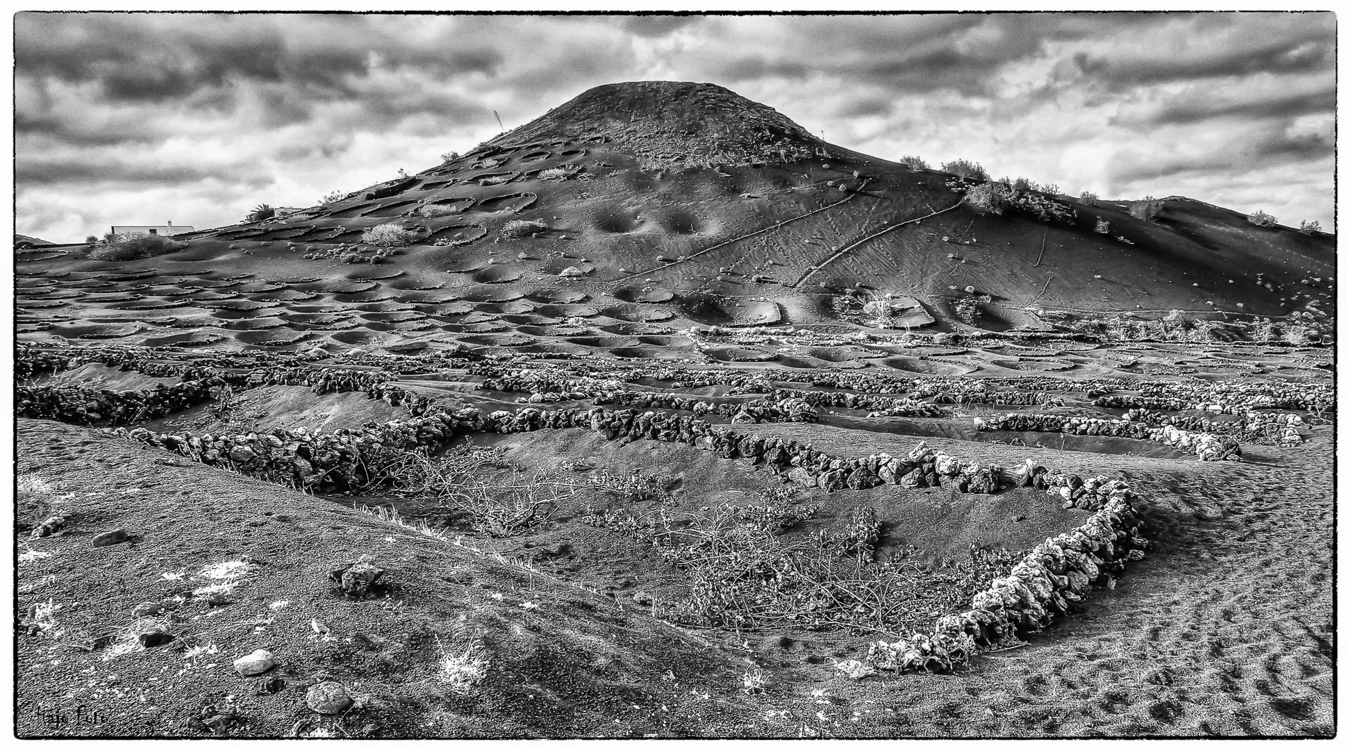 Weinanbau in Lanzarote