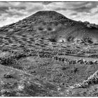 Weinanbau in Lanzarote