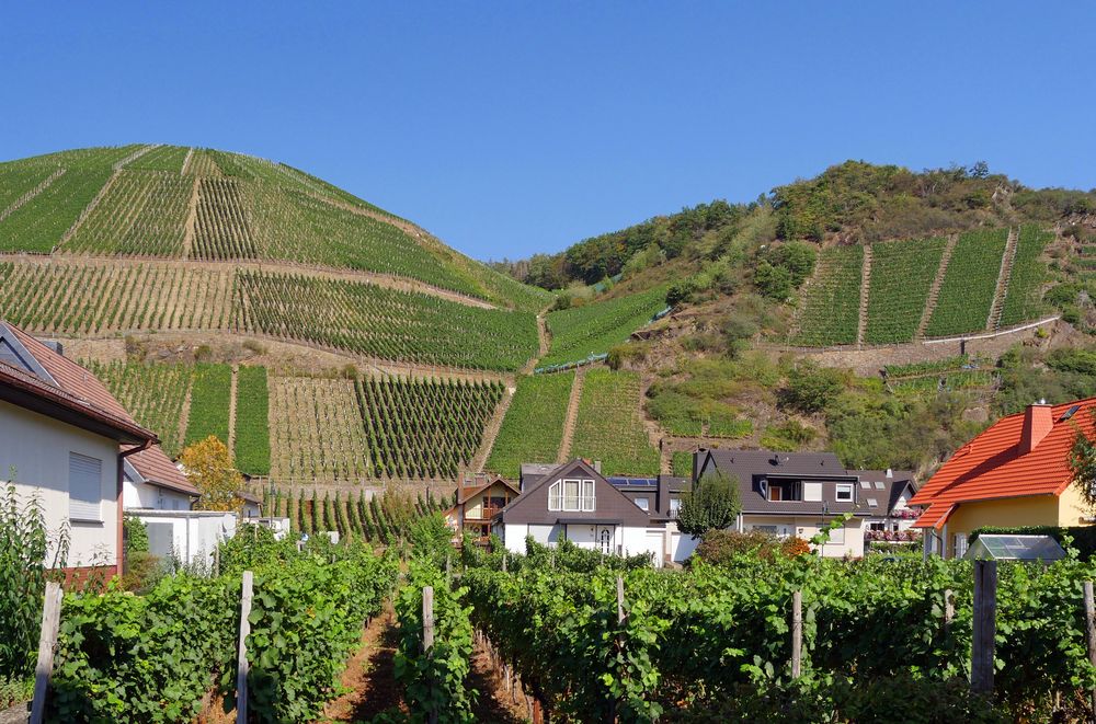 Berg Rheinland Pfalz Berg Rheinland Pfalz