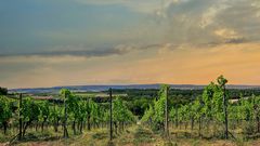 Weinanbaugebiet Naturpark Stromberg-Heuchelberg