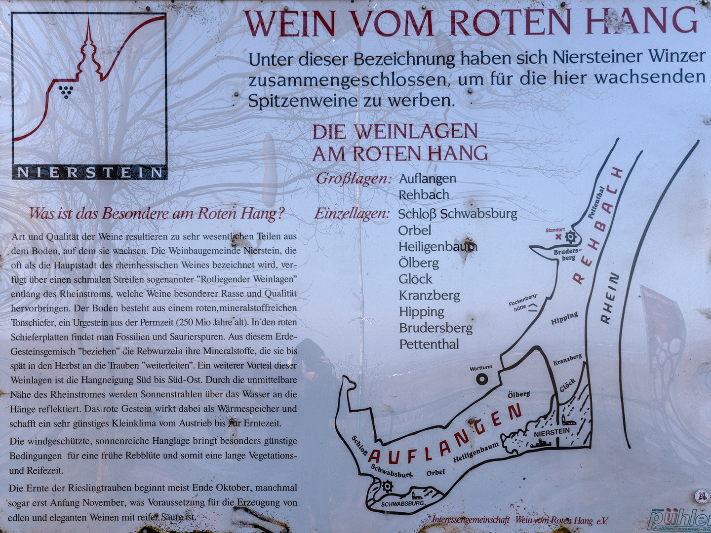 Weinbau am Roten Hang