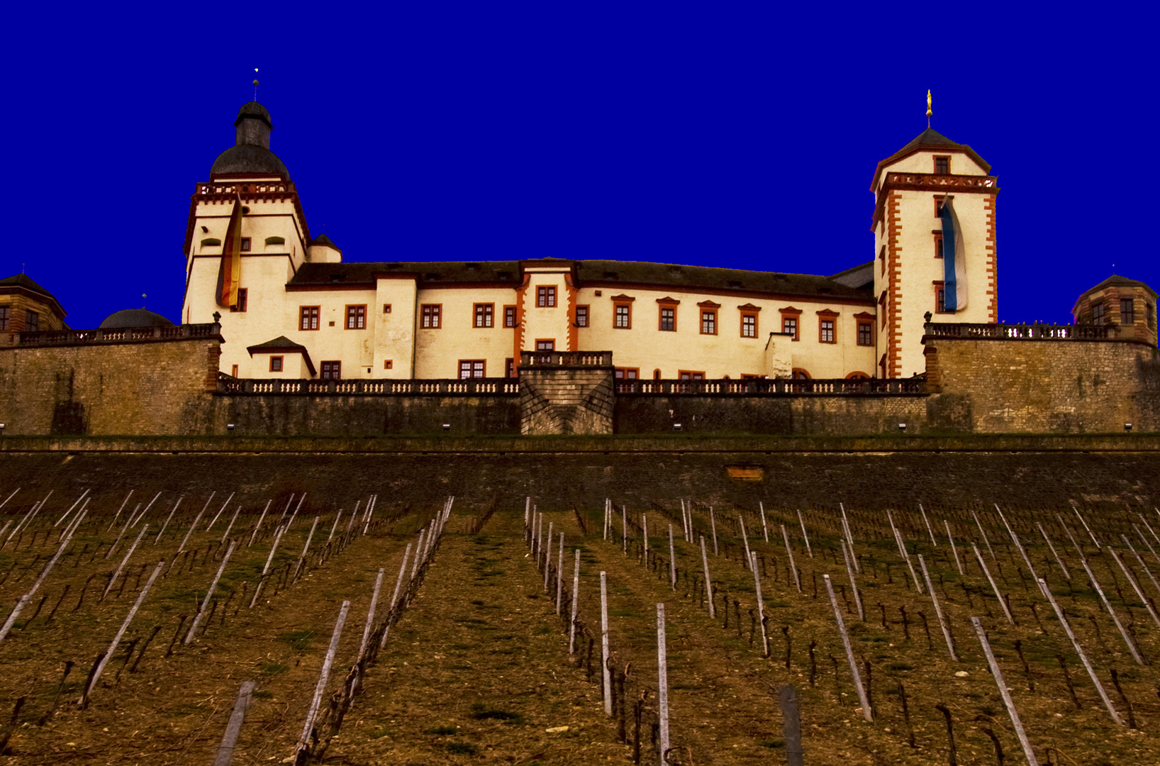 Weinbau am Schloss