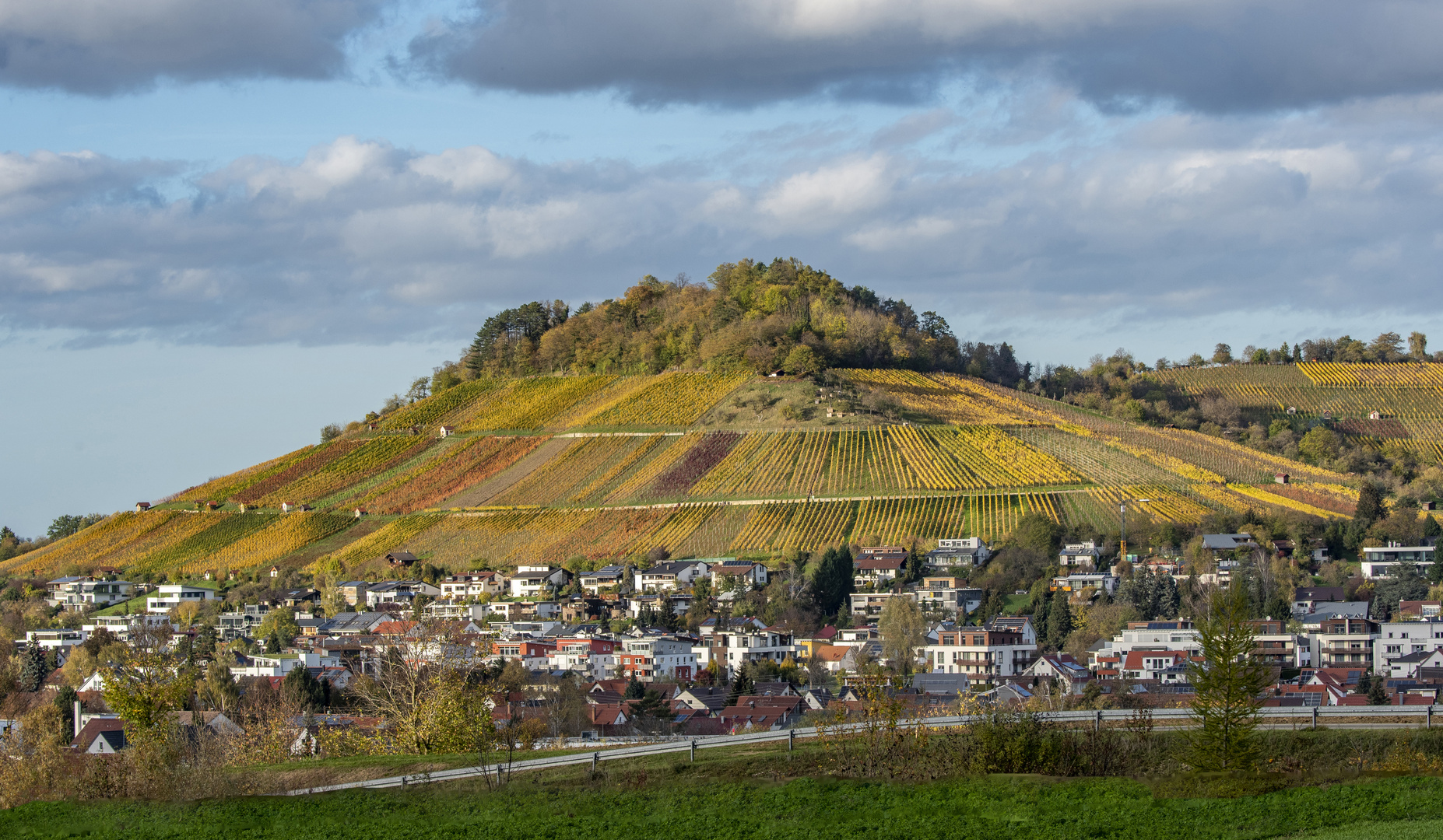 Weinbau auf dem Vulkan