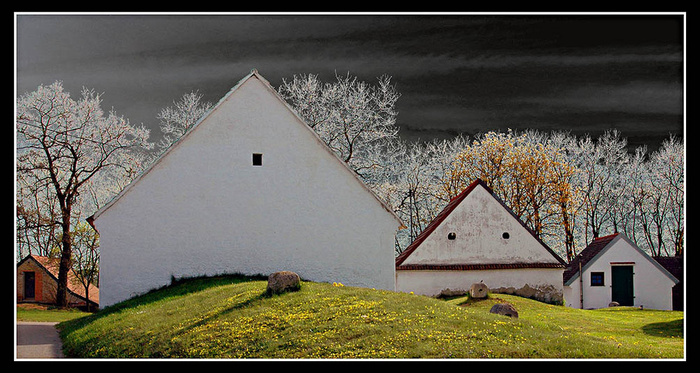 weinbau im wandel