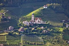 Weinbau in den Bergen von Schenna - Südtirol