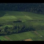 Weinbau-Kanton Aargau