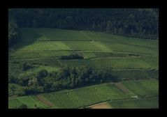 Weinbau-Kanton Aargau