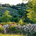 Weinbaugebiet Gigondas