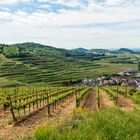 Weinbaugebiet Kaiserstuhl