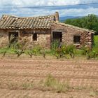 Weinbauhütte Südfrankreich