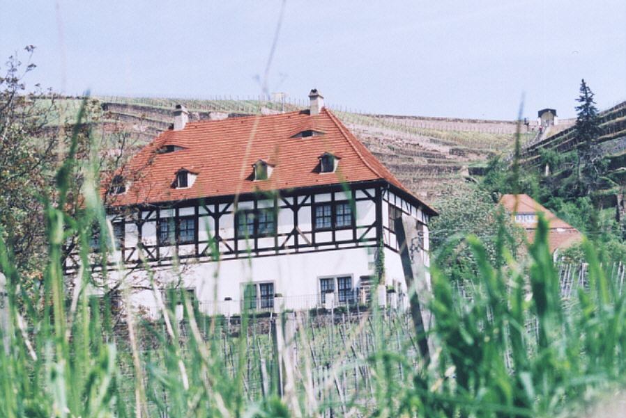 Weinbaumuseum Schloss Hoflößnitz in Radebeul