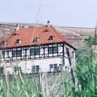 Weinbaumuseum Schloss Hoflößnitz in Radebeul